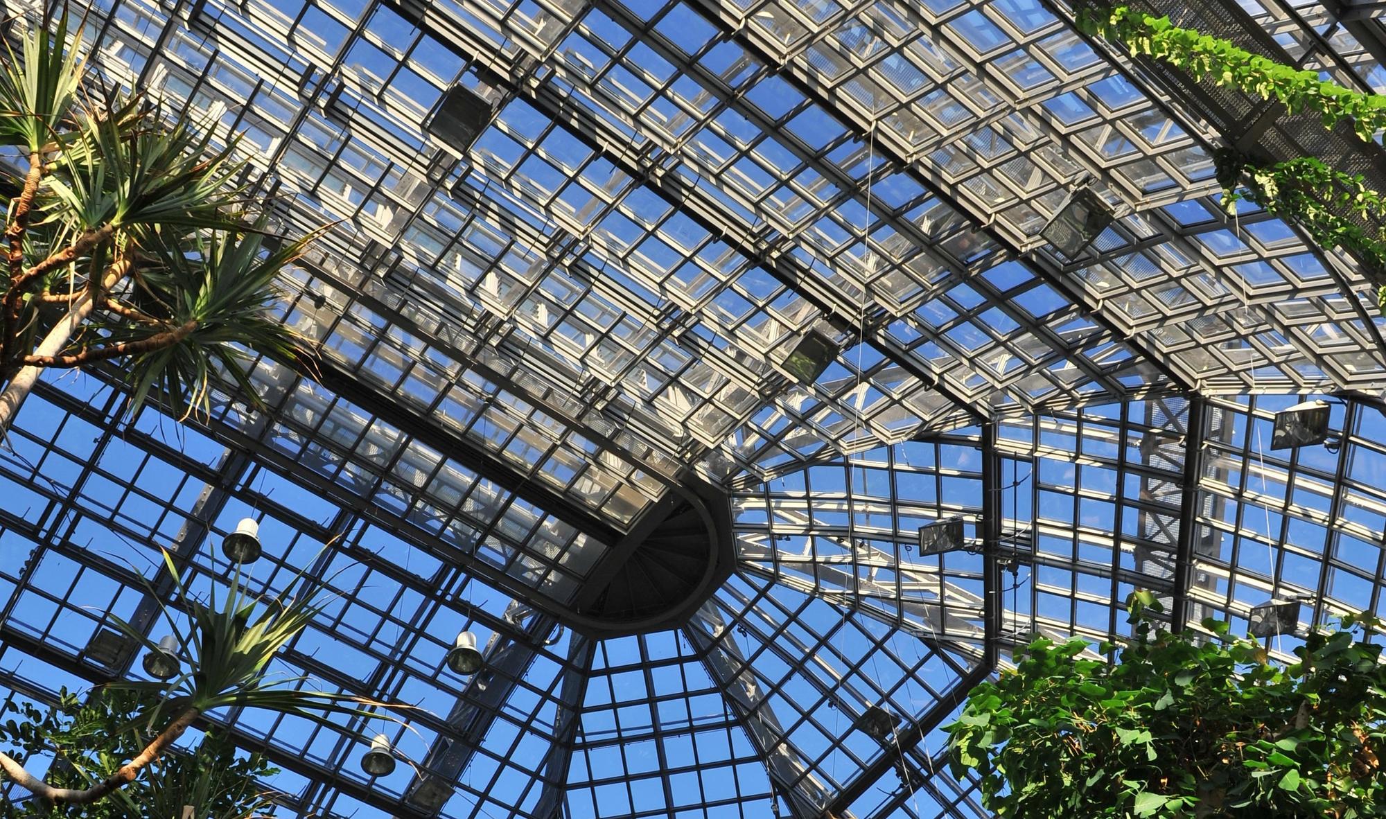 Das große Tropenhaus des Botanischen Gartens in Berlin-Dahlem befindet sich in fußläufiger Entfernung zum Gebäude des GRKs.
